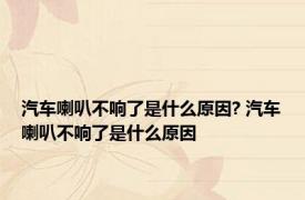 汽车喇叭不响了是什么原因? 汽车喇叭不响了是什么原因 