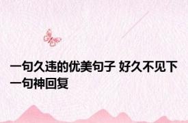 一句久违的优美句子 好久不见下一句神回复 