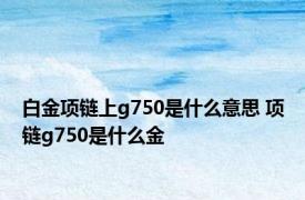 白金项链上g750是什么意思 项链g750是什么金