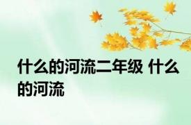 什么的河流二年级 什么的河流 