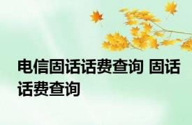 电信固话话费查询 固话话费查询 