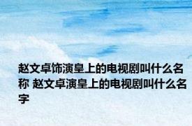 赵文卓饰演皇上的电视剧叫什么名称 赵文卓演皇上的电视剧叫什么名字