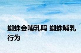 蜘蛛会哺乳吗 蜘蛛哺乳行为 