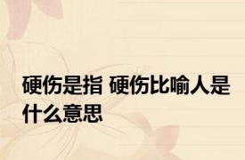硬伤是指 硬伤比喻人是什么意思