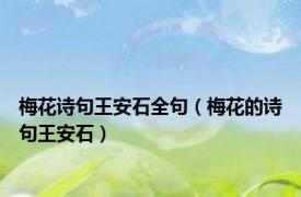 梅花诗句王安石全句（梅花的诗句王安石）
