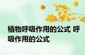植物呼吸作用的公式 呼吸作用的公式