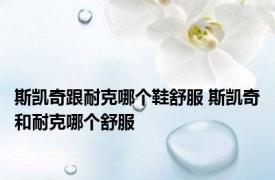 斯凯奇跟耐克哪个鞋舒服 斯凯奇和耐克哪个舒服