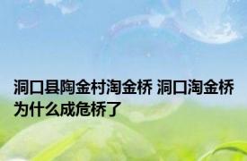 洞口县陶金村淘金桥 洞口淘金桥为什么成危桥了