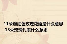 11朵粉红色玫瑰花语是什么意思 13朵玫瑰代表什么意思