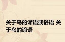 关于鸟的谚语或俗语 关于鸟的谚语 