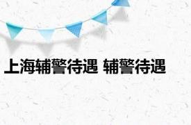 上海辅警待遇 辅警待遇 