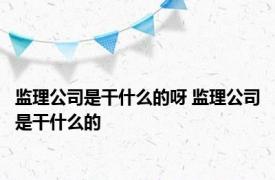监理公司是干什么的呀 监理公司是干什么的