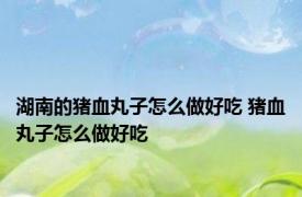 湖南的猪血丸子怎么做好吃 猪血丸子怎么做好吃