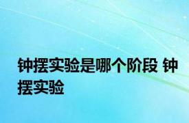 钟摆实验是哪个阶段 钟摆实验 