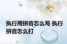 执行用拼音怎么写 执行拼音怎么打 