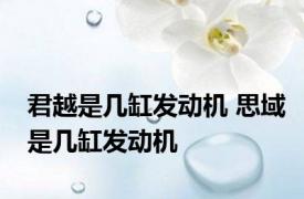 君越是几缸发动机 思域是几缸发动机