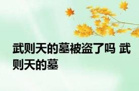 武则天的墓被盗了吗 武则天的墓 