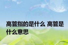 高管指的是什么 高管是什么意思