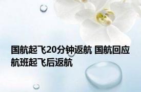 国航起飞20分钟返航 国航回应航班起飞后返航 