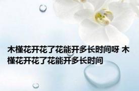 木槿花开花了花能开多长时间呀 木槿花开花了花能开多长时间