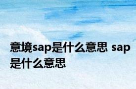 意境sap是什么意思 sap是什么意思 