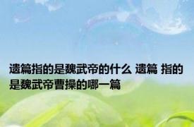 遗篇指的是魏武帝的什么 遗篇 指的是魏武帝曹操的哪一篇