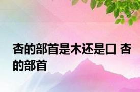 杏的部首是木还是口 杏的部首 