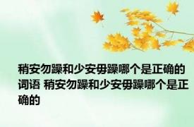 稍安勿躁和少安毋躁哪个是正确的词语 稍安勿躁和少安毋躁哪个是正确的