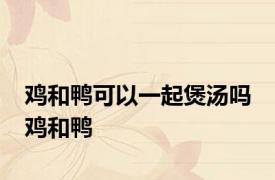 鸡和鸭可以一起煲汤吗 鸡和鸭 