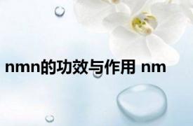 nmn的功效与作用 nm 