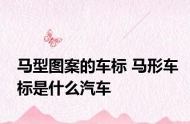 马型图案的车标 马形车标是什么汽车
