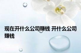 现在开什么公司赚钱 开什么公司赚钱 