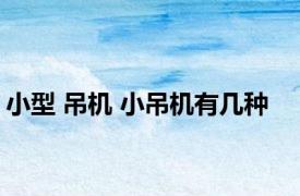 小型 吊机 小吊机有几种