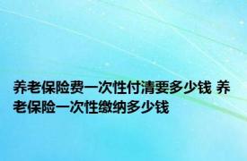 养老保险费一次性付清要多少钱 养老保险一次性缴纳多少钱 