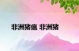 非洲猪瘟 非洲猪 