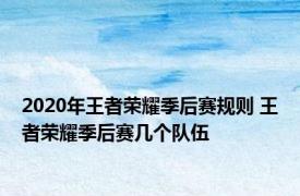 2020年王者荣耀季后赛规则 王者荣耀季后赛几个队伍