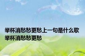 举杯消愁愁更愁上一句是什么歌 举杯消愁愁更愁 