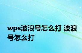 wps波浪号怎么打 波浪号怎么打 