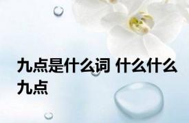 九点是什么词 什么什么九点 