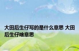 大田后生仔写的是什么意思 大田后生仔啥意思