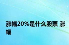 涨幅20%是什么股票 涨幅 
