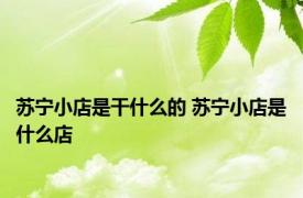 苏宁小店是干什么的 苏宁小店是什么店