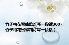 竹子梅花蜜蜂路灯写一段话300（竹子梅花蜜蜂路灯写一段话）