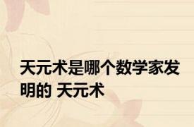 天元术是哪个数学家发明的 天元术 