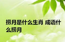 捞月是什么生肖 成语什么捞月