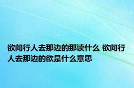 欲问行人去那边的那读什么 欲问行人去那边的欲是什么意思