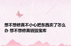 想不想修真不小心把东西卖了怎么办 想不想修真销毁宝库 