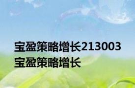 宝盈策略增长213003 宝盈策略增长 