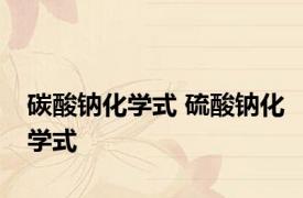 碳酸钠化学式 硫酸钠化学式 