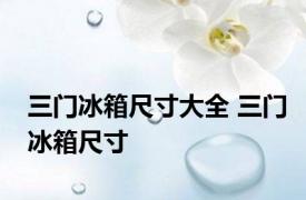 三门冰箱尺寸大全 三门冰箱尺寸 